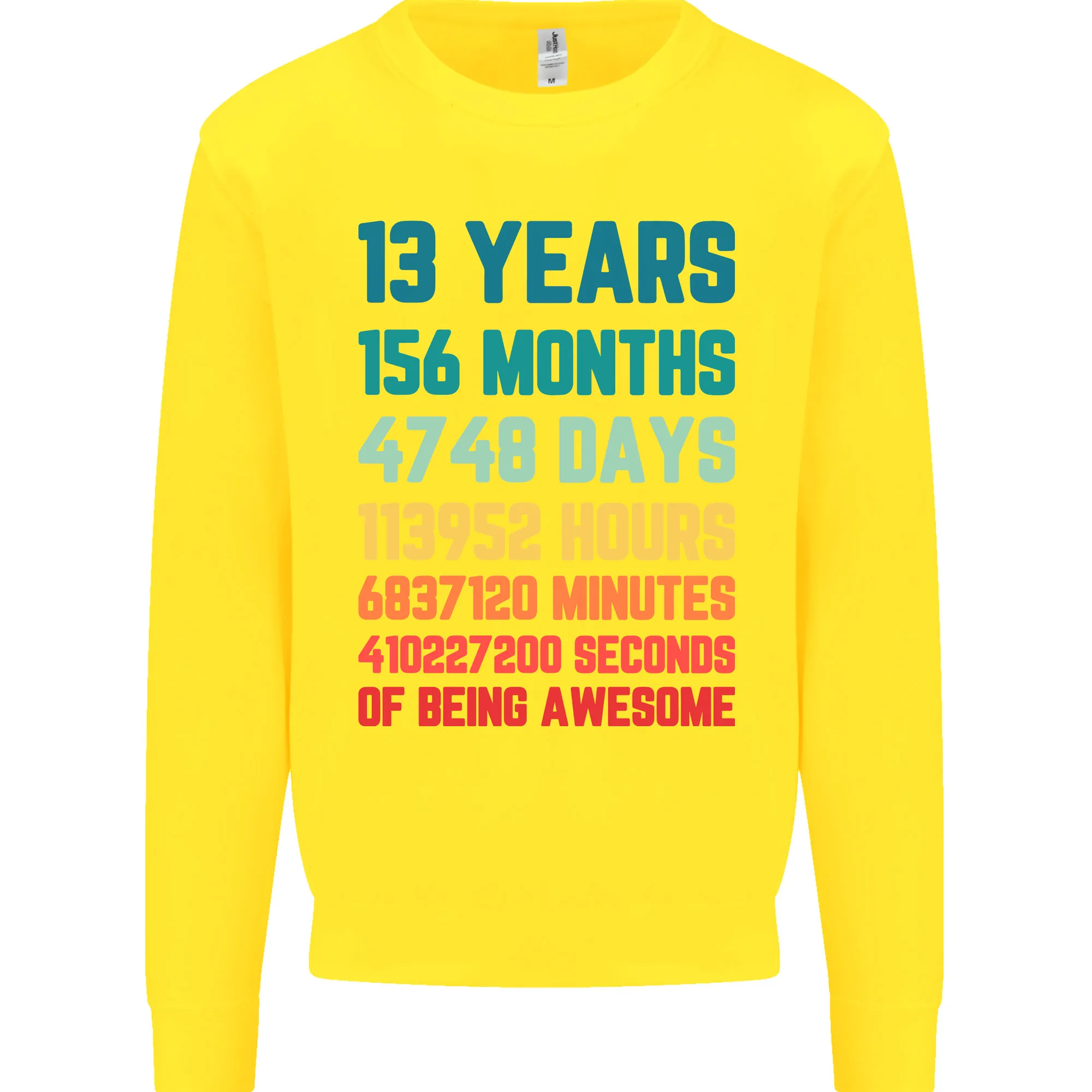 13th Birthday 13 Year Old Kids Sweatshirt Jumper