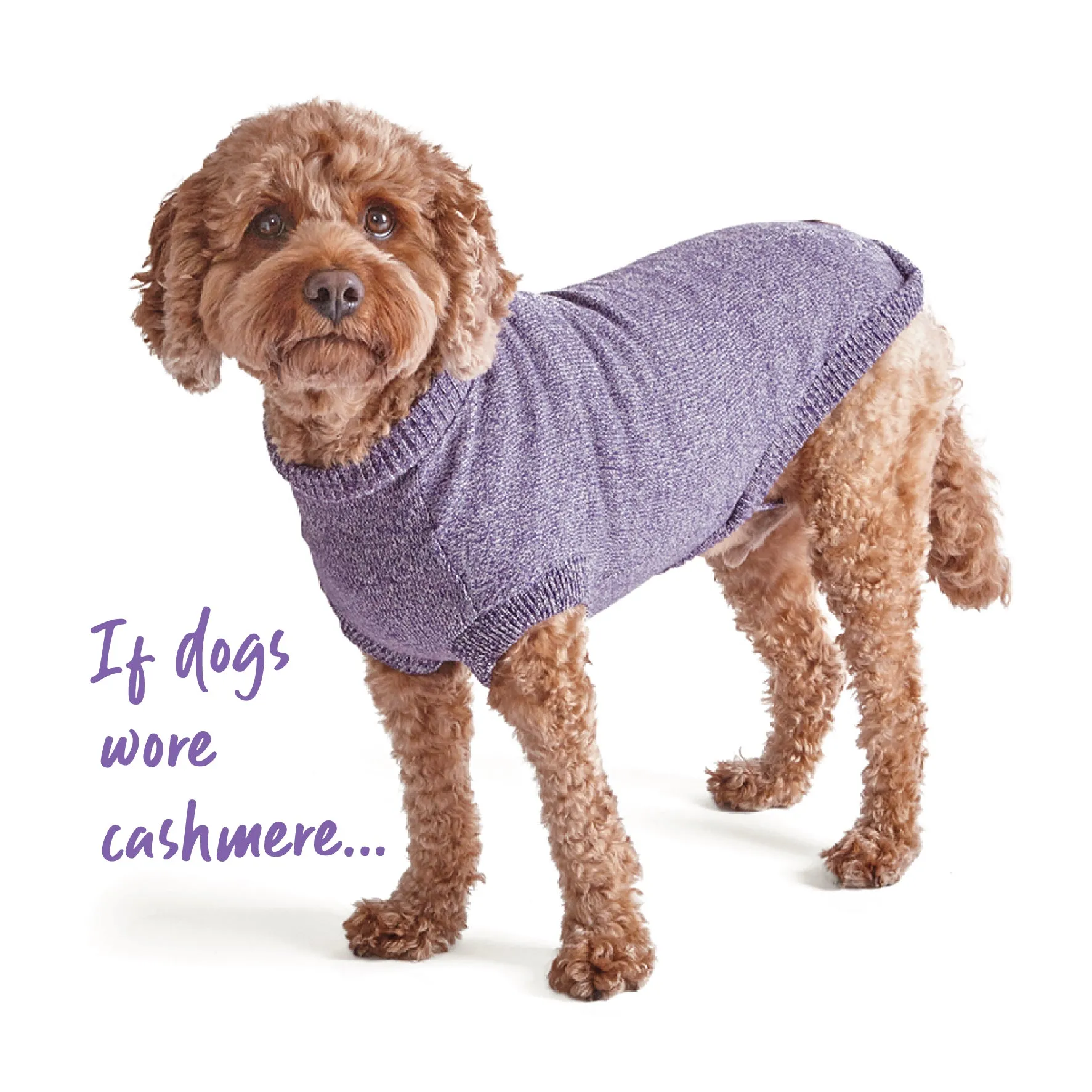 Soft Knit Dog Jumper - Lilac